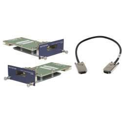 NETGEAR ProSafe AX742 - Module d'extension (pack de 2) - pour NETGEAR GSM7228, GSM7252, GSM7328, GSM7352, Next-Gen Edge Manage
