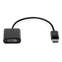 HP - Câble DVI - DisplayPort (M) pour DVI-D (F) - 19 cm - pour HP Z1 G8, EliteDesk 800 G8, EliteOne 800 G8, ProDesk 405 G8, Wor