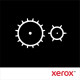 Xerox Phaser 6360 - (220 V) - kit unité de fusion - pour Phaser 6360DA, 6360DB, 6360DN, 6360DT, 6360DX, 6360N