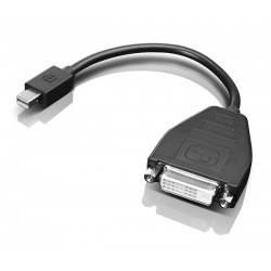 Lenovo - Adaptateur DisplayPort - liaison simple - Mini DisplayPort (M) pour DVI-D (F) - 20 cm - pour ThinkPad L570, P51, T470,