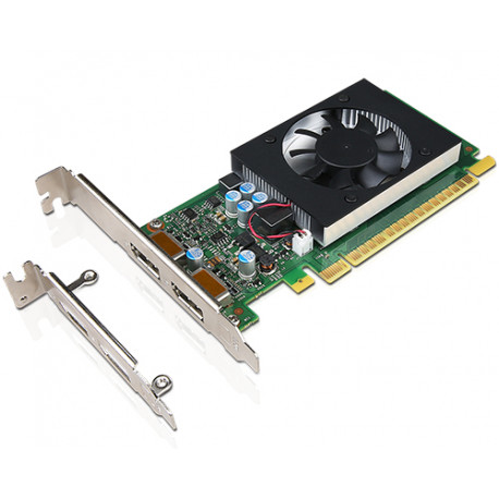 NVIDIA GeForce GT730 - Carte graphique - GF GT 730 - 2 Go GDDR5 - PCIe 2.0 x8 profil bas - DisplayPort - pour ThinkCentre M710,