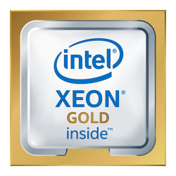 Intel Xeon Gold 6252 - 2.1 GHz - 24 c¿urs - 48 fils - 35.75 Mo cache - pour Dell 7820, 7920, PowerEdge C4140, PowerEdge FC640, 